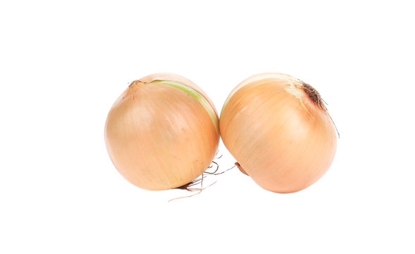 Two ripe onions.