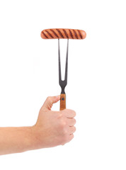 Hand holding barbecue fork.