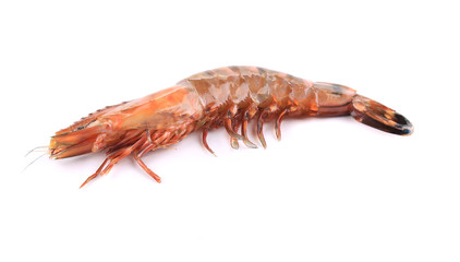 Raw tiger shrimp.