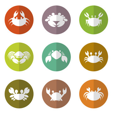 Vector group of crab in the circle