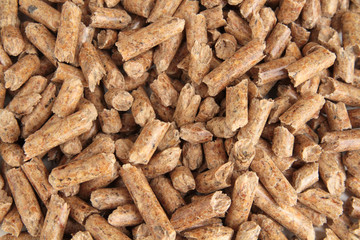 granulés de bois