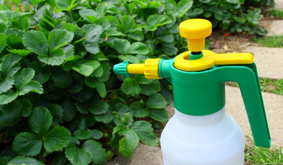 pulvérisateur, traitement des maladies au jardin