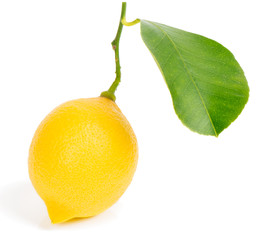Lemon with leaf