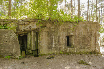 Fototapeta na wymiar Bunker of world war 1 in flanders fields