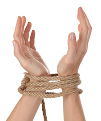 Tied hands, isolated  white