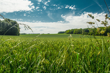 paysage de picardie