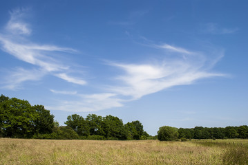 Sky and Field