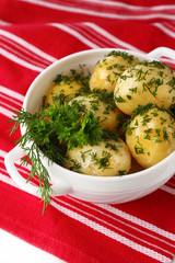 Young boiled potatoes in bowl, close up