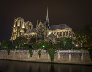 Fototapeta na wymiar Notre-Dame at night