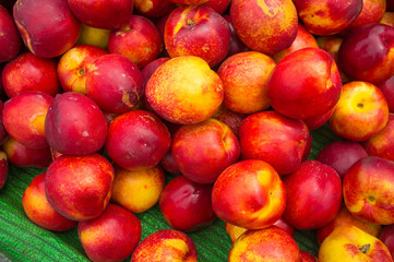 Nectarines