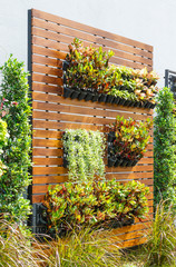 Vertical garden © smuay