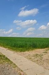 Plattenweg mit Feld, Himmelblau und Wolken