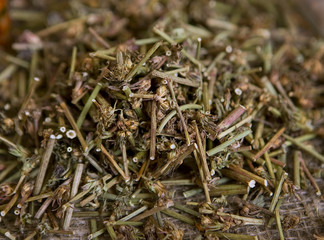 Dried Chicory (dry medicinal herbs)