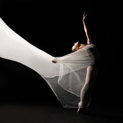 Ballet dancer - obrazy, fototapety, plakaty