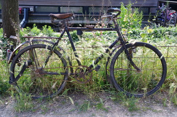 Fototapeta na wymiar Altes eingewachsenes Fahrrad in Amsterdam 2