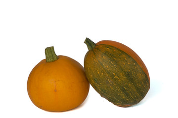 Zwei Zierk&uuml;rbisse