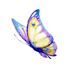 butterflies design