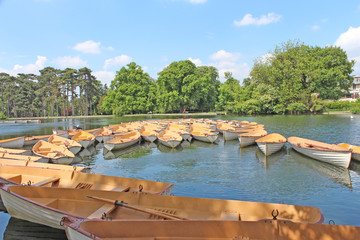 Paris bois de Boulogne