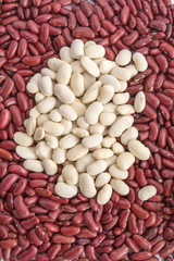 Weiße Bohnen und Kidneybohnen