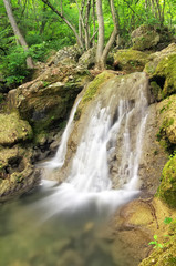 Fototapeta na wymiar Waterfall. Mountain river. A stream of water in forest