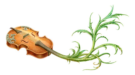 Fairy-tale mystic violin with plant scroll painting. Isolated on © guliveris