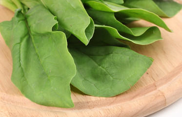 Fresh spinach on wooden board isolated on white