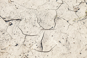 Obraz premium Cracks in dry soil texture