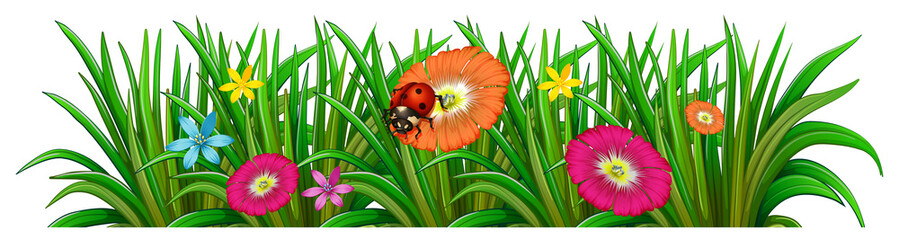 A garden with a blooming flowers and a ladybug © blueringmedia