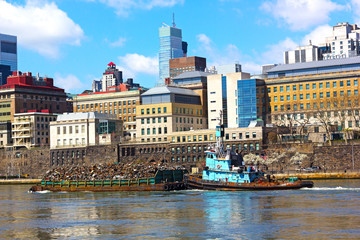 Daily trash removal by large barges in New York.
