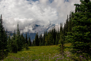 Mt Rainier in the Clouds
