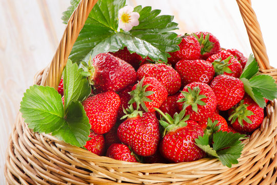Fresh strawberries in the basket