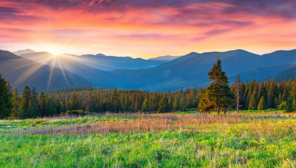 Fototapeta na wymiar Colorful morning panorama of the Carpathian mountains.