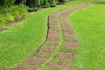 Obraz premium Pathway