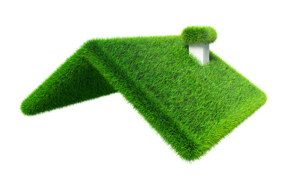 Green Grass House Roof