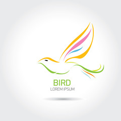 Color Bird abstract flying icon design template.