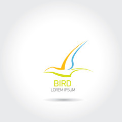 Color Bird abstract flying icon design template.