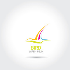 Color Bird abstract flying icon design template.