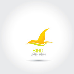 Color Bird abstract flying icon design template.