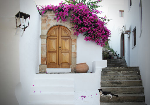 Fototapeta In Greece: white walls, fuchsia flowers, stairs and cat relaxing