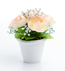 Plastic flower vase isolated white background