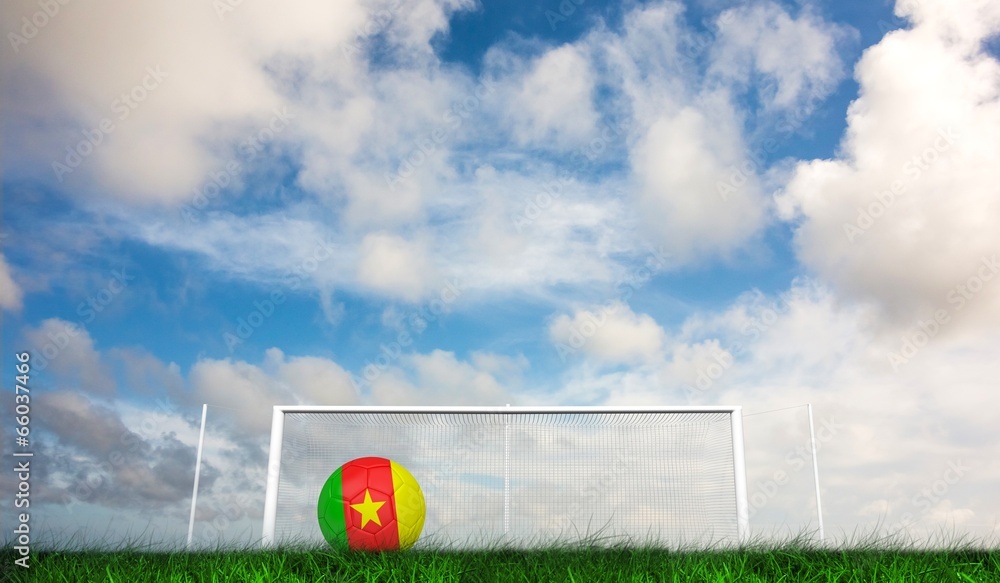 Poster composite image of football in cameroon colours