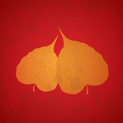 Obraz premium tree bodhi leaf