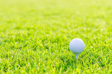 Golf ball on green grass