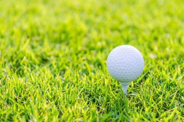 Golf ball on green grass