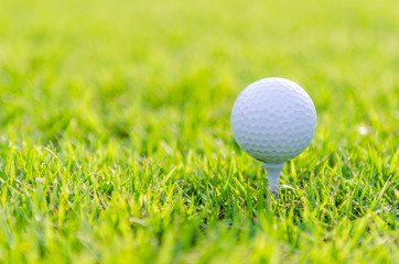 Golf ball on green grass