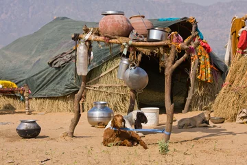 Foto op Plexiglas Lonely house in the desert near Pushkar, India © OlegD