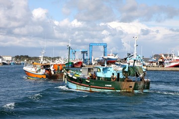 Fototapeta premium chalutiers dans le port de pêche du guilvinec,bretagne
