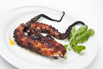 grilled octopus
