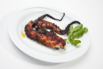 grilled octopus