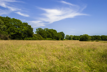 Nice Clouds on Bright sky
